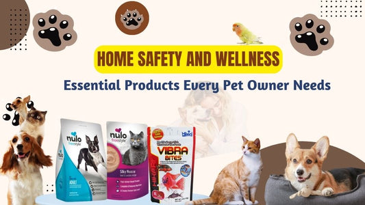 Home Safety and Wellness: Essential Products Every Pet Owner Needs