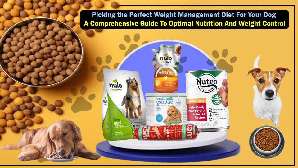 Picking the Perfect Weight Management Diet for Your Dog: A Comprehensi