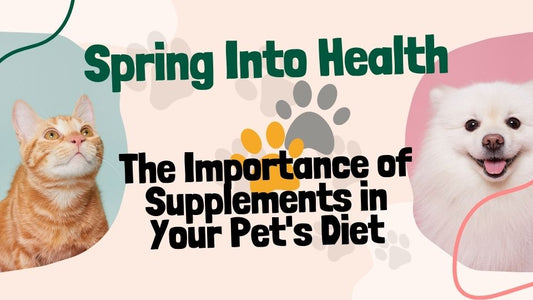Spring Into Health: The Importance of Supplements in Your Pet's Diet