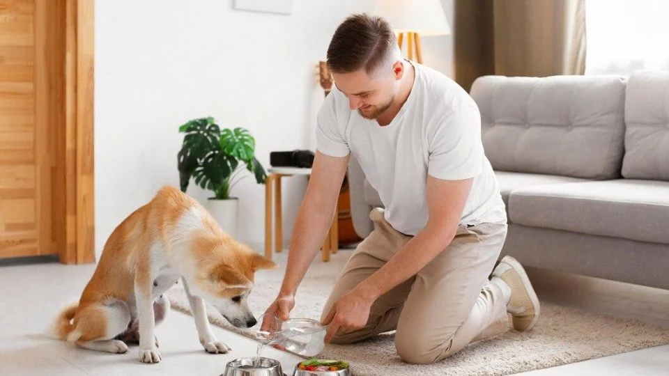 5 Essential Tips for Keeping Your Pet Healthy This Fall