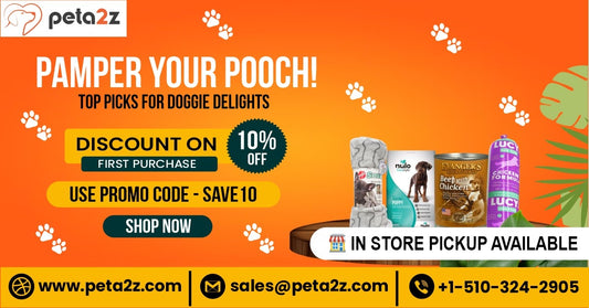 Exploring the Best Online Pet Care Products for Your Beloved Pet