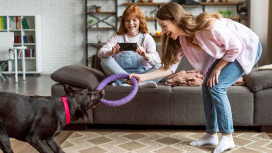 How to Choose the Right Spring Accessories for Your Pet