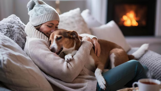 How to Keep Your Pets Warm and Cozy During Winter