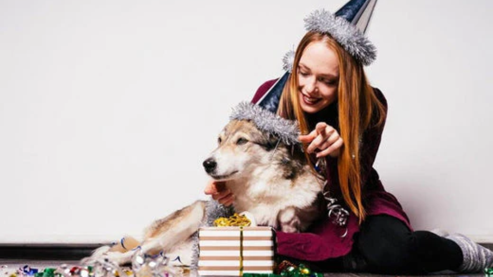 New Year, New Pet Care: Must-Have Products for 2025
