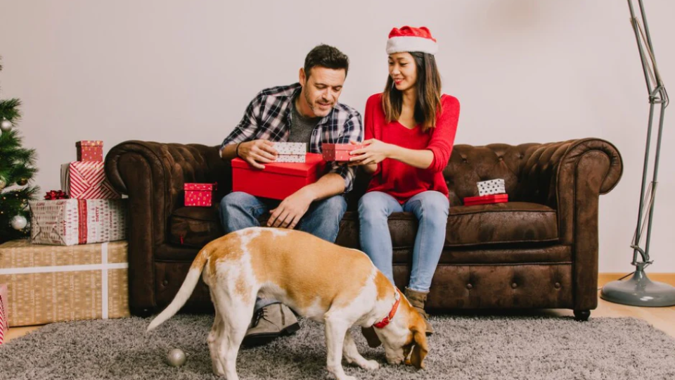 New Year’s Resolutions for Your Pet: Start the Year Right!