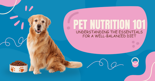 Pet Nutrition 101: Understanding the Essentials for a Well-Balanced Diet peta2z