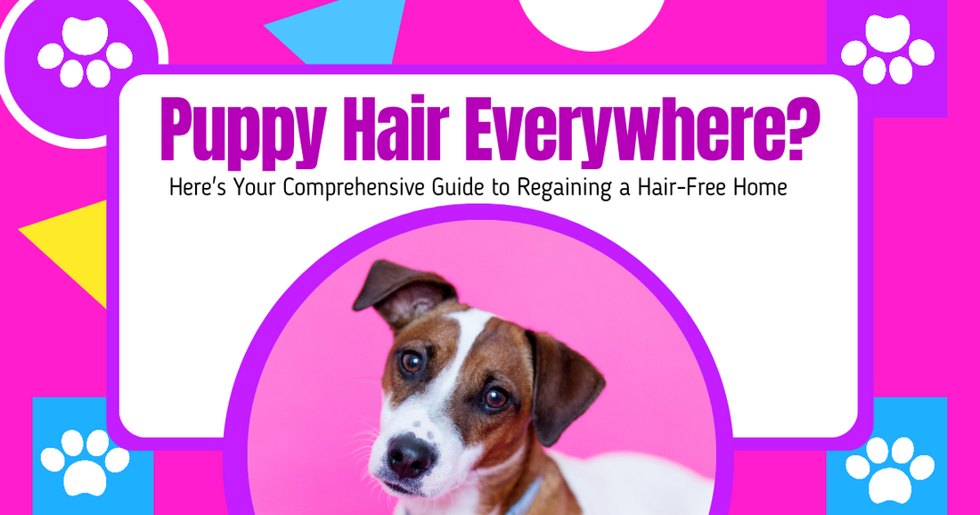 Puppy Hair Everywhere? Here's Your Comprehensive Guide to Regaining a Hair-Free Home peta2z