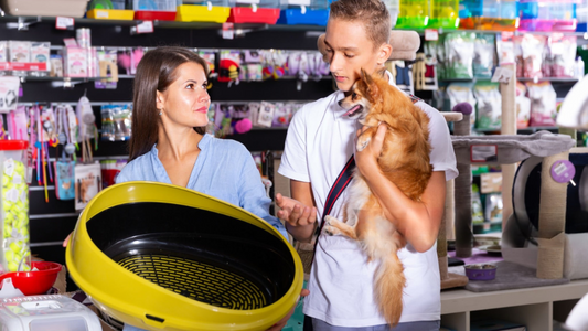 Spring Cleaning for Your Pet – Purchase the Clearance Sale