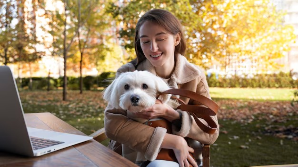 Spring Into Action – Essential Pet Care Tips for the New Season