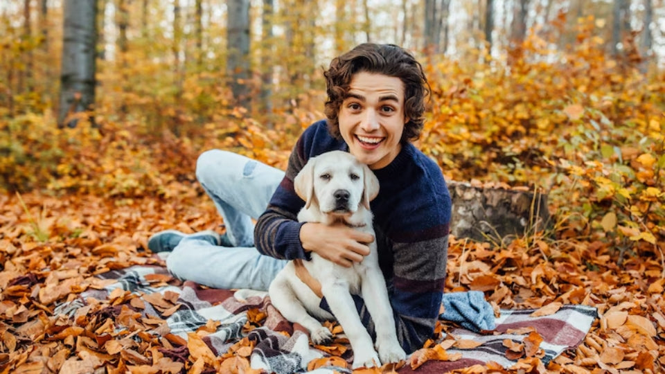 Back-to-School Pet Essentials You Can’t Miss!