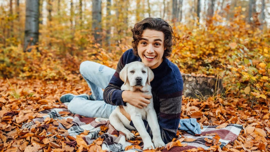 Back-to-School Pet Essentials You Can’t Miss!