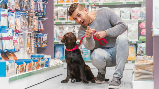 The Best Pet Products on Clearance – Score Big Savings!