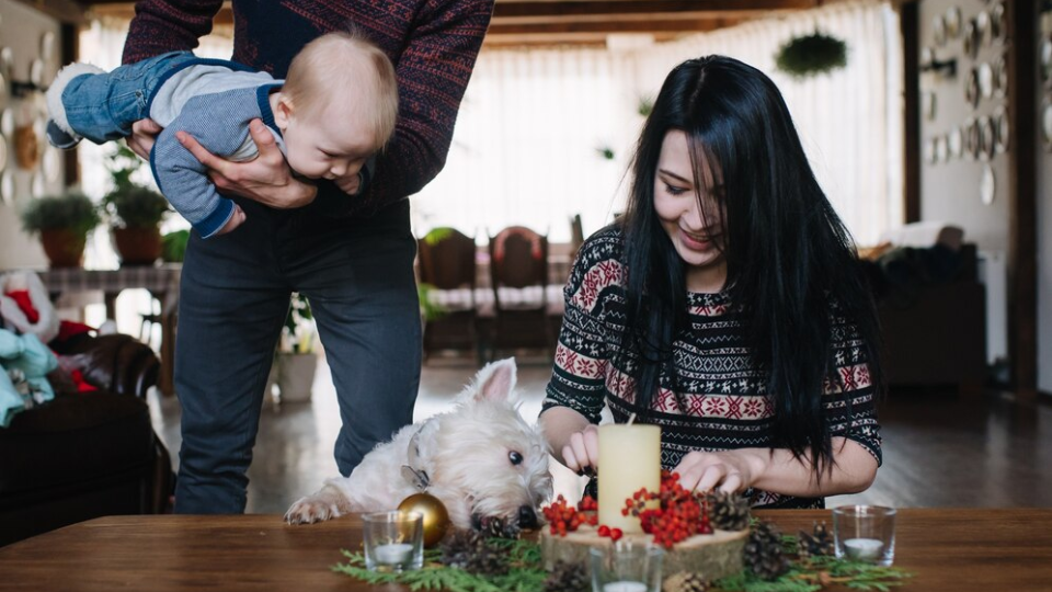 Top 5 Ways to Show Your Pet Some Love this Valentine’s Day