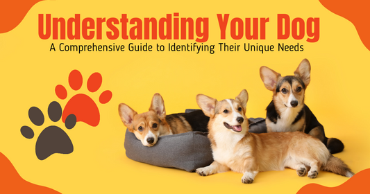 Understanding Your Dog: A Comprehensive Guide to Identifying Their Unique Needs peta2z