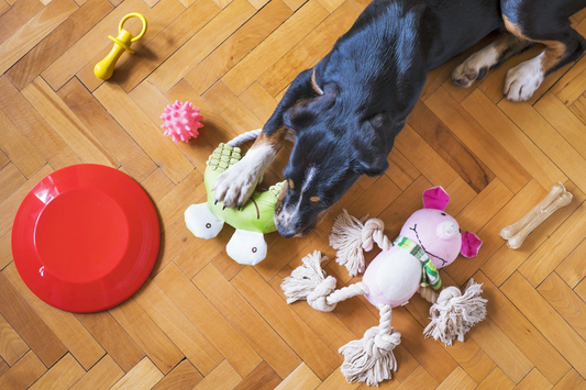 Smokehouse Pizzle Twists: The Ultimate Dog Chew