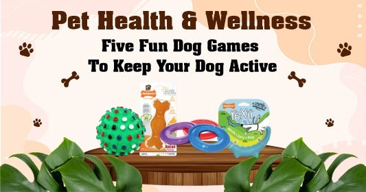 Pet Health & Wellness: Five Fun Dog Games to Keep You’re Dog Active