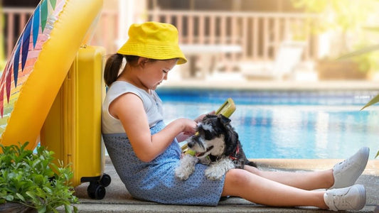 Beat the Heat: Keeping Your Pet Cool in Summer 