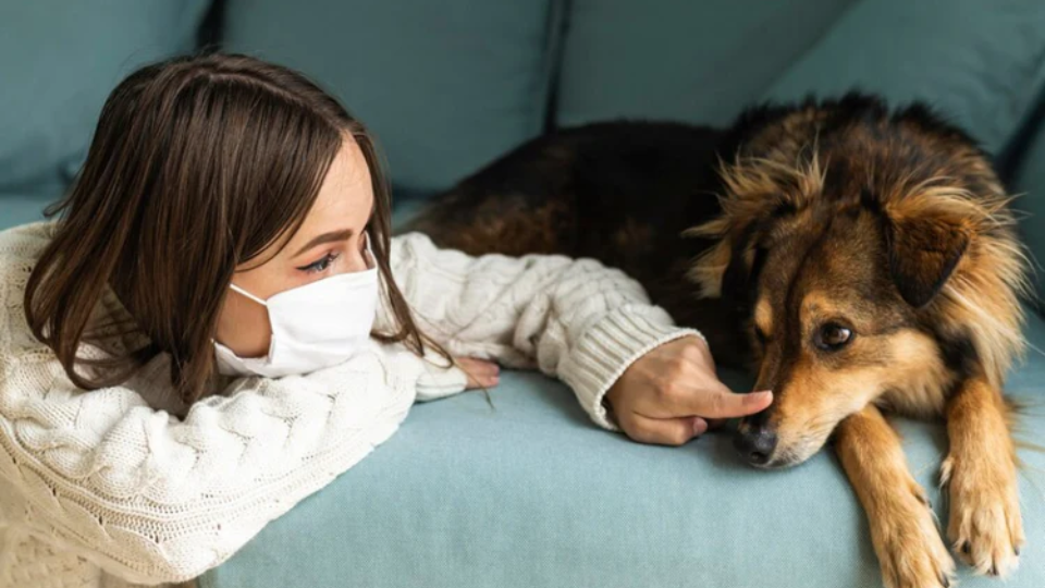 Winter Pet Care: Keeping Your Pet Cozy During the Cold Months
