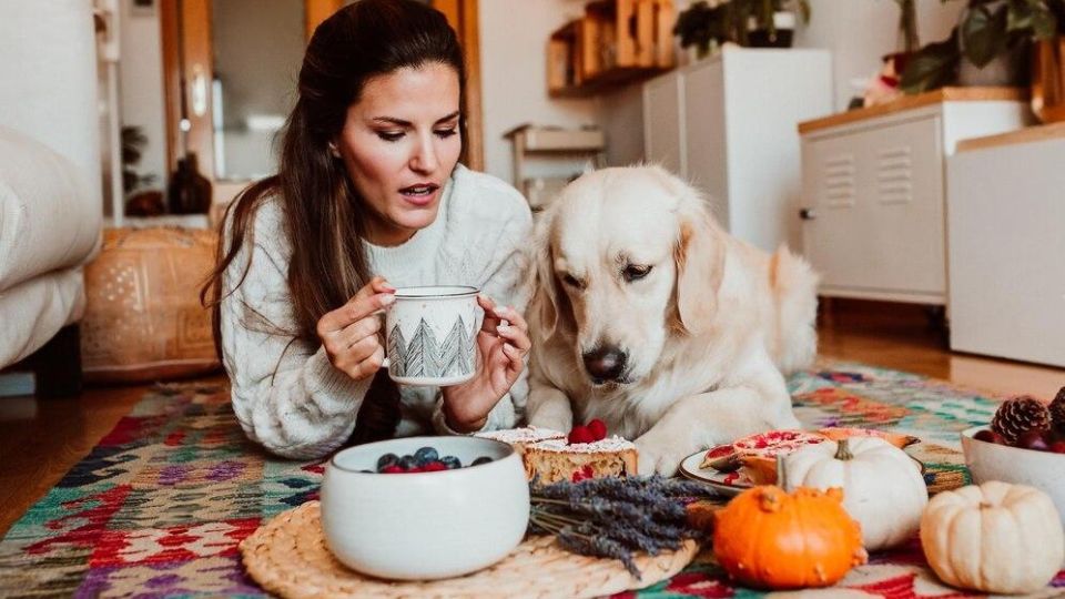 Thanksgiving Treats: Delicious Recipes for Pets