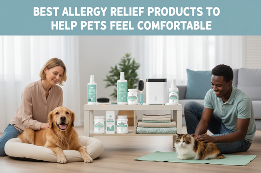 Best Allergy Relief Products