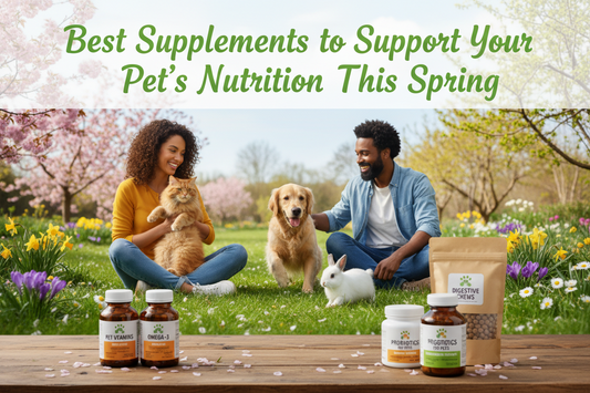 Best Supplements to Support Your Pet’s Nutrition This Spring