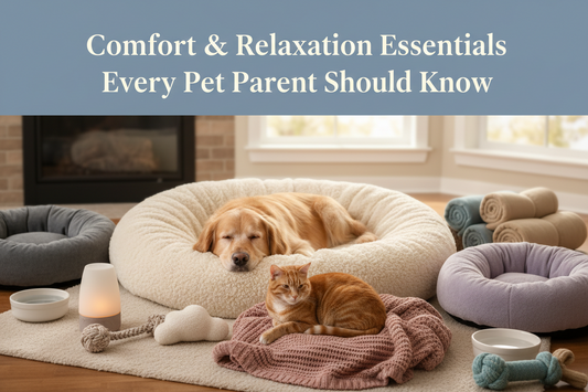 Comfort & Relaxation Essentials for Pets