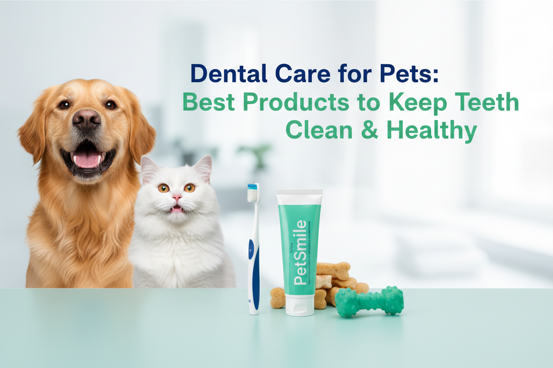 Dental Care for Pets