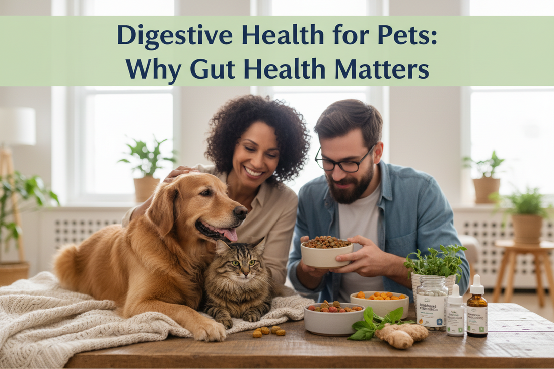 Digestive Health for Pets: Why Gut Health Matters