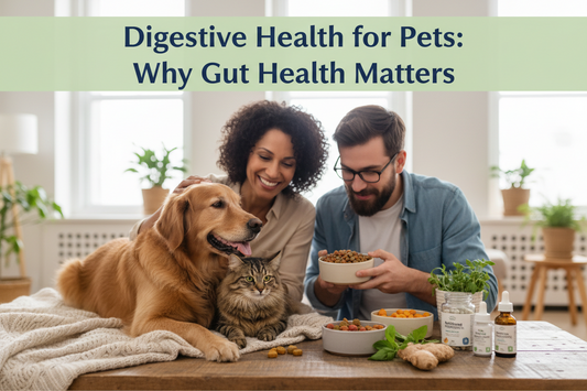 Digestive Health for Pets: Why Gut Health Matters