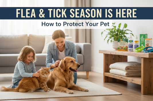 Flea & Tick Season Is Here: How to Protect Your Pet