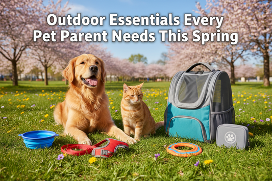 Outdoor Essentials Every Pet Parent Needs This Spring