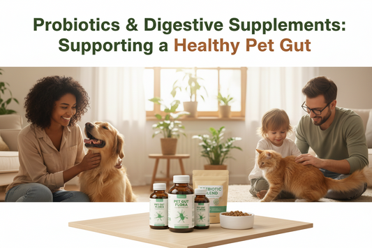 Probiotics & Digestive Supplements: Supporting a Healthy Pet Gut