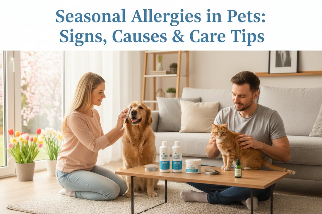 Seasonal Allergies in Pets