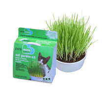 Catnip & Pet Grass