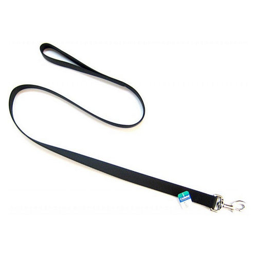 Single Nylon Lead - Black 4' Long x 1" Wide by Coastal Pet