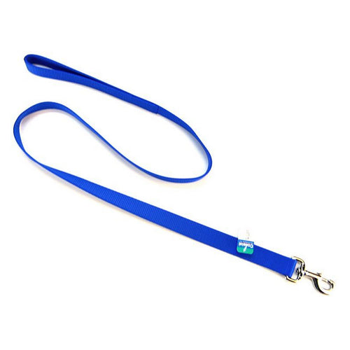 Single Nylon Lead - Blue 4' Long x 1" Wide by Coastal Pet