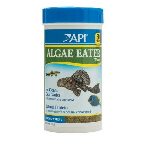 API, Algae Eater Premium Algae Wafers, 6.4 oz