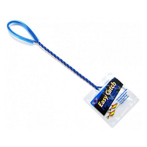Easy Catch Fine Mesh Brine Fish Net 2" Wide Net by Blue Ribbon Pet Products