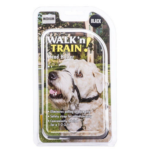Walk'n Train Head Halter Size 2 (14"-19" Neck & 5"-7" Snout Circumference) by Coastal Pet