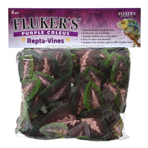 Flukers, Purple Coleus Repta-Vines, 6' Long