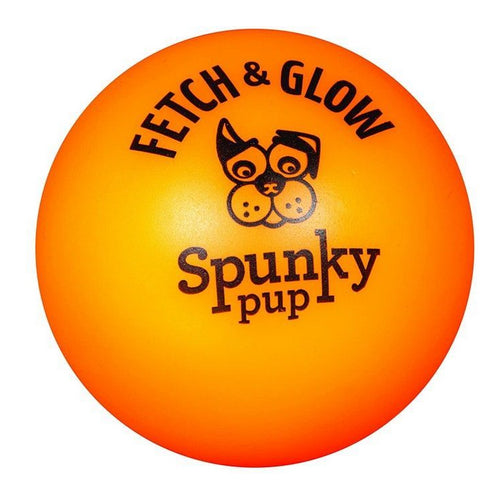 Fetch and Glow Ball Dog Toy Assorted Colors Medium - 1 count by Spunky Pup