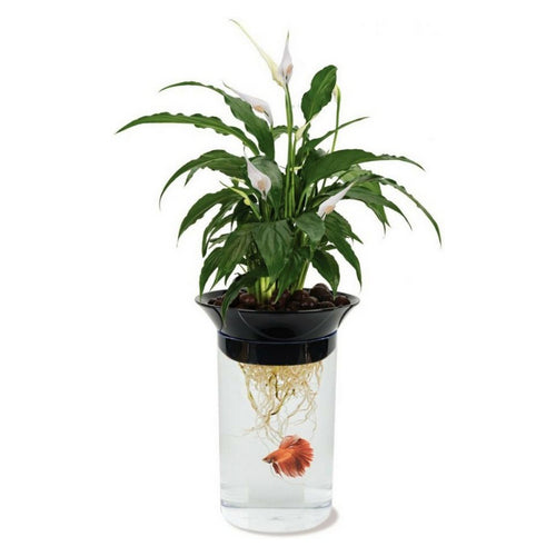 Nature's Aqua-Ponic Planter & Fish Habitat 0.5 Gallon Tank (3"D x 8.6"H) by Penn Plax