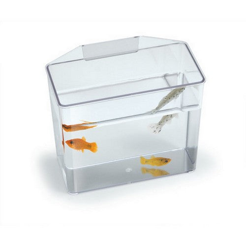 Specimen Container Convalescent Home Small - 5.1"L x 2.5"W x 4.5"H by Lee's
