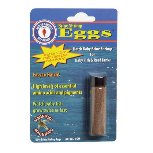 Brine Shrimp Eggs 6 Grams by San Francisco Salt Co