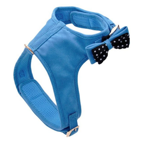 Coastal Pet Accent Microfiber Dog Harness Boho Blue with Polka Dot Bow Medium by Coastal Pet