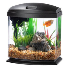 Aqueon LED MiniBow 1 SmartClean Aquarium Kit Black 1 gallon by Aqueon