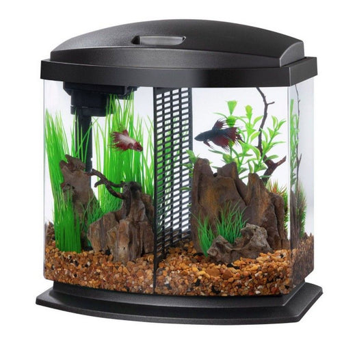 Aqueon LED BettaBow 2.5 SmartClean Aquarium Kit Black 2.5 gallon by Aqueon