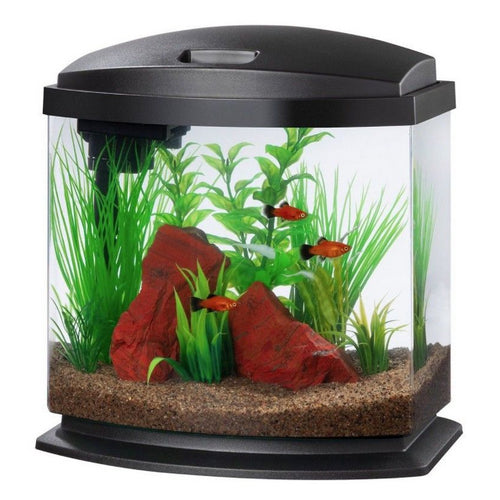 Aqueon LED MiniBow 2.5 SmartClean Aquarium Kit Black 2.5 gallon by Aqueon