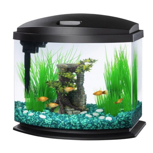 Aqueon LED MiniBow 5 SmartClean Aquarium Kit Black 5 gallon by Aqueon