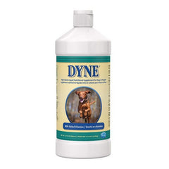 PetAg Dyne High Calorie Liquid Nutritional Supplement for Dogs and Puppies 32 oz by PetAg